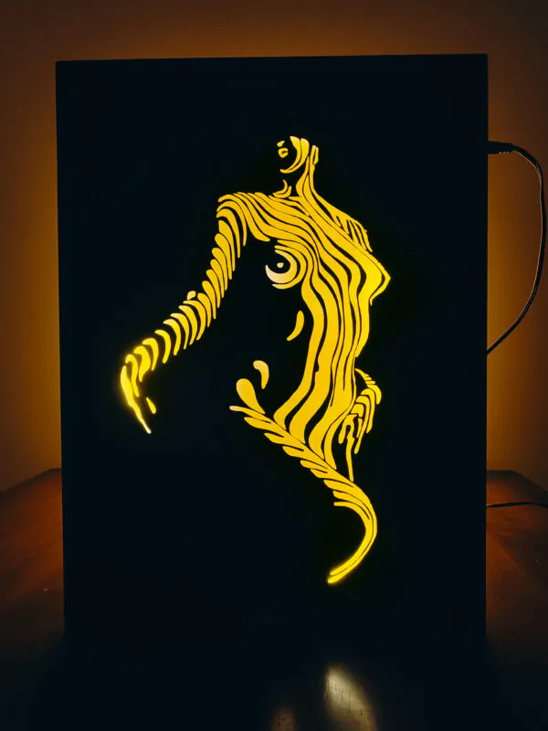 Graceful Woman – Shadow Box Frame Celebrating Feminine Elegance | Light & Form